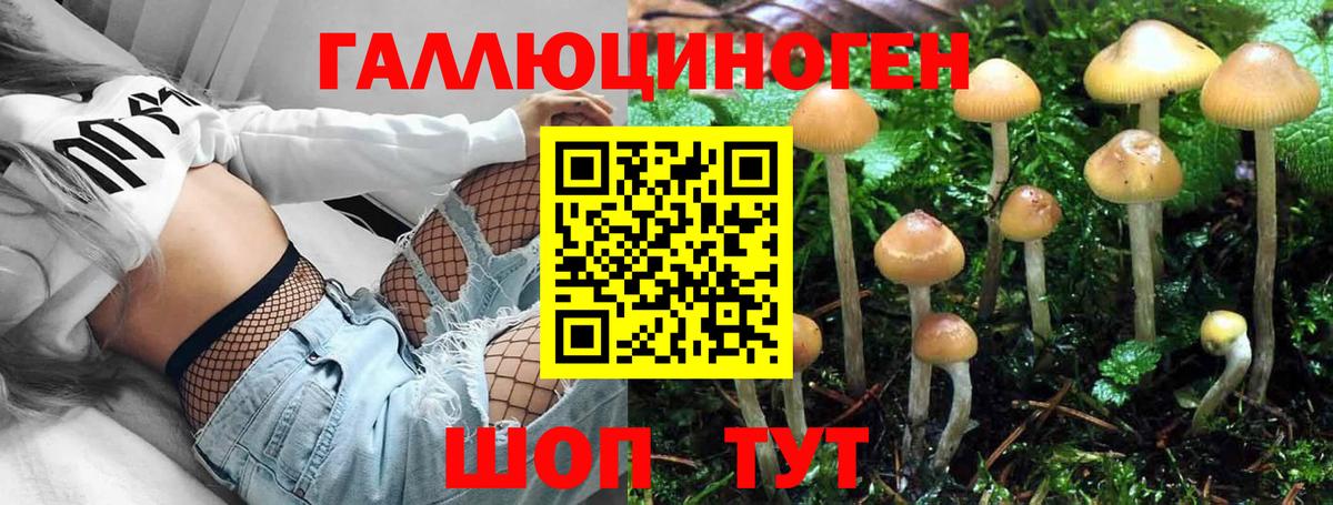 Псилоцибиновые грибы GOLDEN TEACHER  Псилоцибиновые грибы Magic Shrooms  Калуга  Вход с VPN 